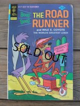 ROAD RUNNER / COMIC 1975-No53 (AC-421)