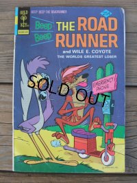 ROAD RUNNER / COMIC 1975-No53 (AC-421)