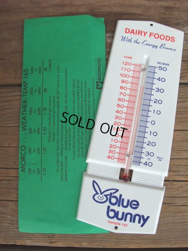 画像1: Vintage Blue Bunny Thermometer (AC809) 