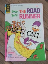 ROAD RUNNER / COMIC 1975-No48 (AC-989)