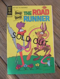 ROAD RUNNER / COMIC 1977-No64 (AC-987)