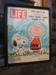 画像1: 60s SNOOPY / LIFE MAGAZINE (AC-1011) (1)