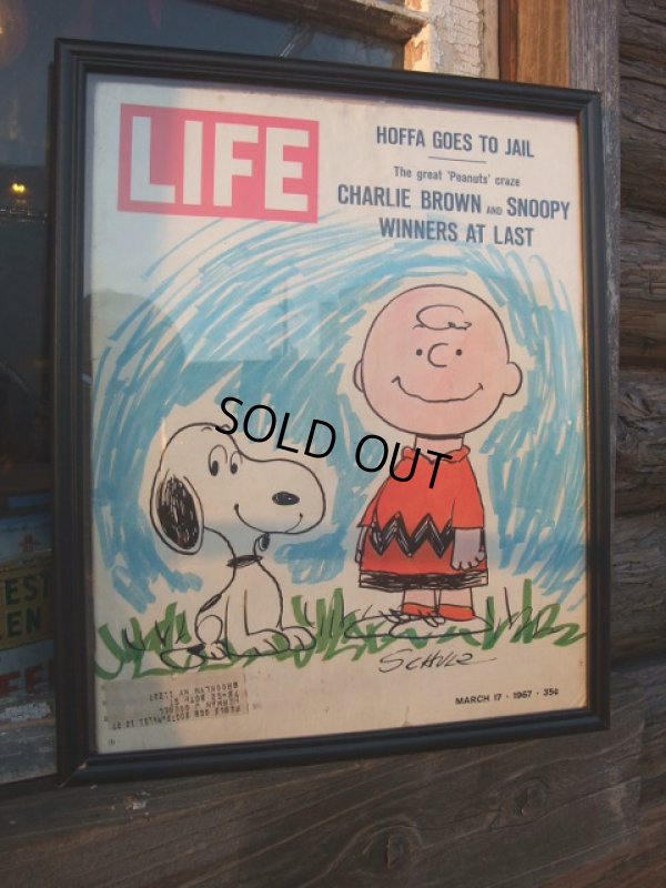 画像1: 60s SNOOPY / LIFE MAGAZINE (AC-1011)