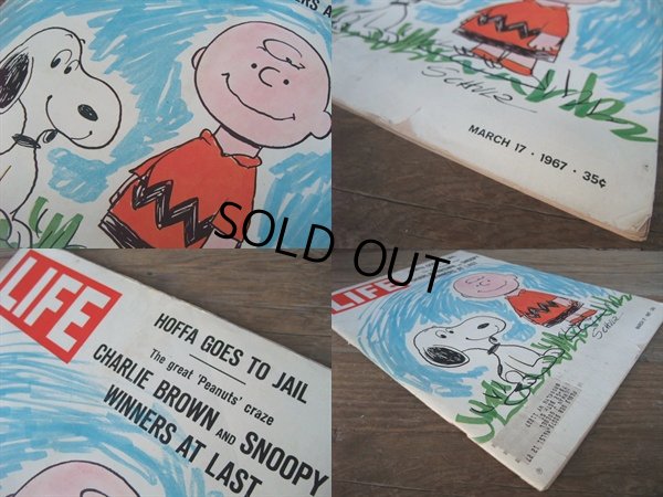 画像2: 60s SNOOPY / LIFE MAGAZINE (AC-1011)