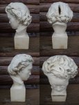 画像2: Vintage  Beethoven Bustup Statue (AC-427)  (2)