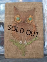 Vintage Owl Hemp Wall Display(NR-305)