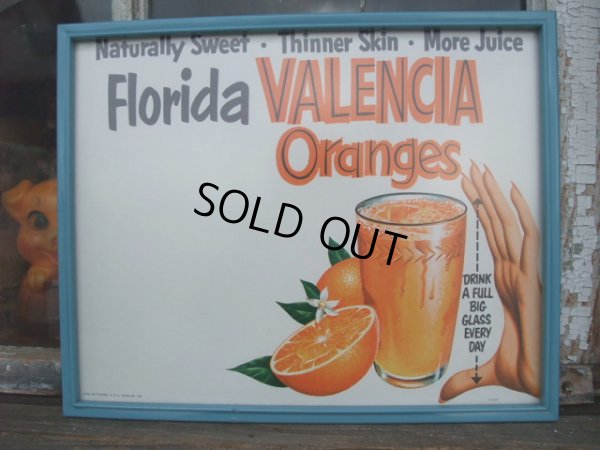 画像1: 50s Vintage FRORIDA VALENCIA ORANGE Advertising Sign w/Frame (NR-309)