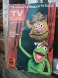 画像1: 70s Vintage TV GUIDE Muppet (NK161) (1)