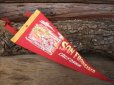 画像1: Vintage Souvenir Pennant / SAN FRANCISCO (NK-512)  (1)