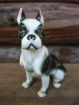 画像1: 60s Vintage Boston Terrier Ceramic Statue (NK-542) (1)