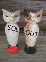 50s Vintage OWL S&P Set (NK741) 