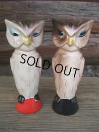 50s Vintage OWL S&P Set (NK741) 