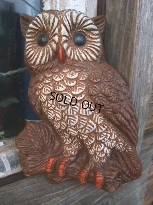 画像1: Vintage OWL Wall Decor (NK755)