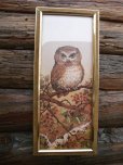 画像1: Vintage OWL Art W/Frame Wall Decor (NK752) (1)