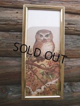 Vintage OWL Art W/Frame Wall Decor (NK752)