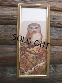 Vintage OWL Art W/Frame Wall Decor (NK752)