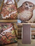 画像2: Vintage OWL Art W/Frame Wall Decor (NK752) (2)
