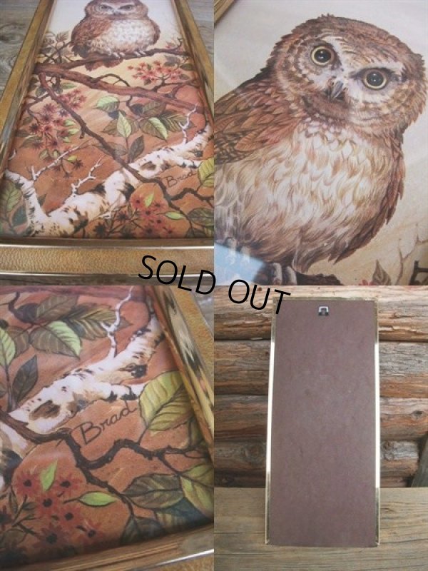 画像2: Vintage OWL Art W/Frame Wall Decor (NK752)