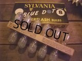 STLVANIA Flashbulbs (NK771) 