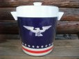 画像1: Vintage Ice Bucket American Eagle (NK993) (1)