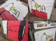 画像3: Vintage Snoopy Toy Box (PJ398) (3)