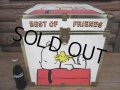 Vintage Snoopy Toy Box (PJ398)