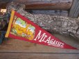 画像1: Vintage Souvenir Pennant / Mt,AGASSIZ (PJ497)  (1)