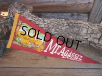 Vintage Souvenir Pennant / Mt,AGASSIZ (PJ497) 