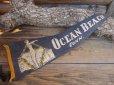 画像1: Vintage Souvenir Pennant / OB (AC267) (1)