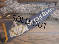 Vintage Souvenir Pennant / OB (AC267)