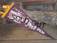 Vintage Souvenir Pennant / Summit of PP (PJ496) 
