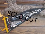 Vintage Souvenir Pennant / W,D.C (AC269) 