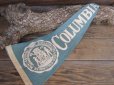 画像1: Vintage College Pennant / COLUMBIA UNIV (PJ503)  (1)