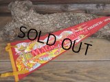 Vintage Souvenir Pennant / MM (AC265)