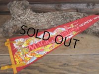 Vintage Souvenir Pennant / MM (AC265)