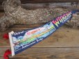 画像1: Vintage Souvenir Pennant / DAB (AC268) (1)