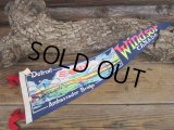 Vintage Souvenir Pennant / DAB (AC268)