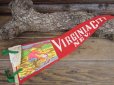 画像1: Vintage Souvenir Pennant / VCN (AC274) (1)