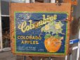 画像1: Vintage Wood Colombine  Fruit Crate Box (PJ589)  (1)