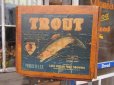 画像1: Vintage Wood TROUT Fruit Crate Box (PJ590)  (1)