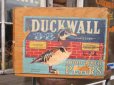 画像1: Vintage Wood DUCKWALL Fruit Crate Box (PJ591)  (1)