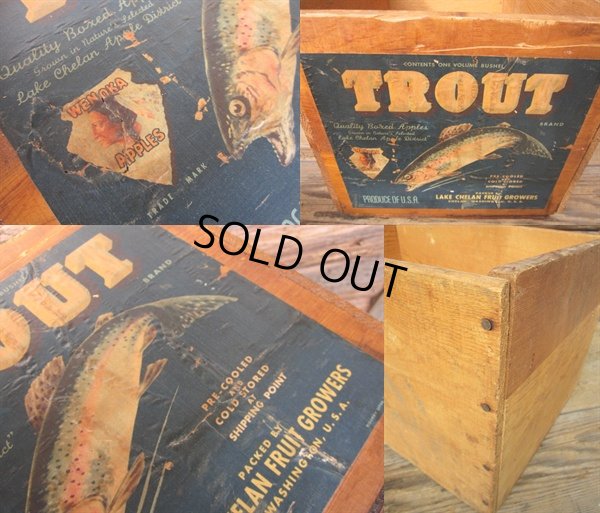 画像3: Vintage Wood TROUT Fruit Crate Box (PJ590) 
