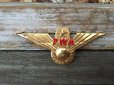 画像1: Vintage TWA Airline Junior Pilot Wings Badge (DJ24) (1)