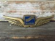 画像1: Vintage Southern Airline Pilot Wings Badge (DJ17) (1)