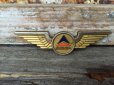 画像1: Vintage DELTA Airline Pilot Wings Badge (DJ23) (1)