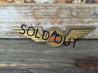 Vintage DELTA Airline Pilot Wings Badge (DJ23)