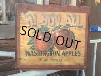 Vintage Wood HI BUV ALL Fruit Crate Box (DJ43) 