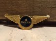 画像1: Vintage DELTA Airline Jr Stewardess Wings Badge (DJ54) (1)