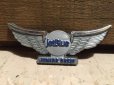 画像1: Vintage JetBlue Airline Junior Crew Wings Badge (DJ52) (1)