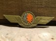 画像1: Vintage NATIONAL Airline Wings Badge (DJ50) (1)